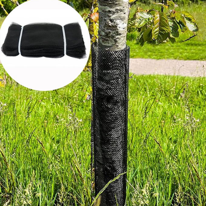 Tree Guard